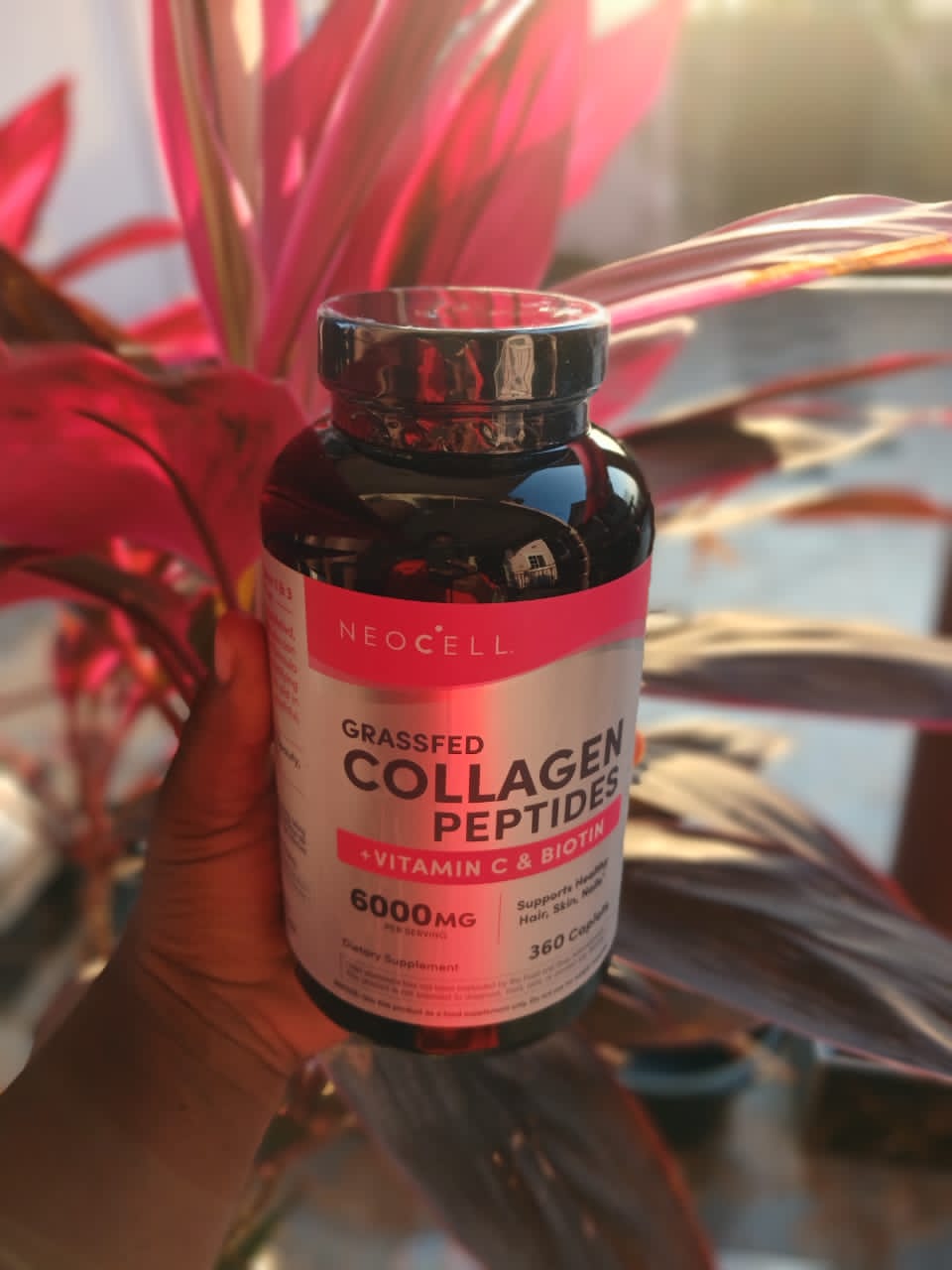 Collagen